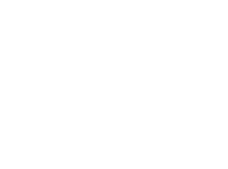 Bermuda Logo