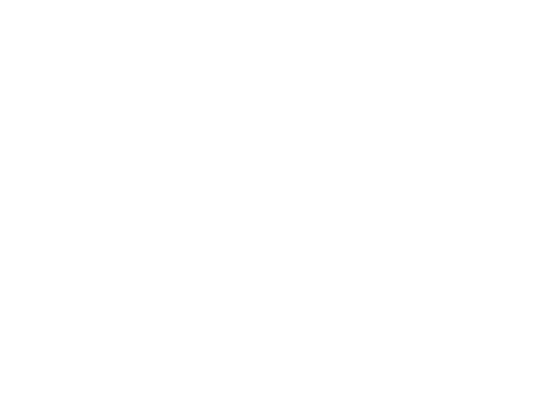 Bermuda Logo