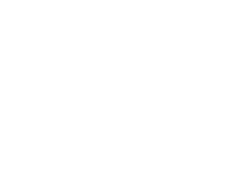 Footer Logo Bermuda