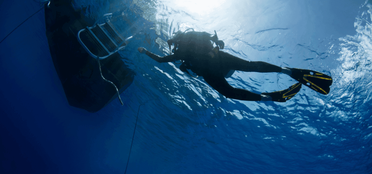 PADI  ReActivate Scuba Refresher course Banner - Bermuda