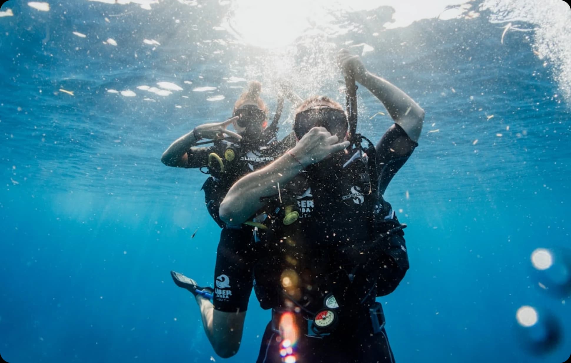 Diver