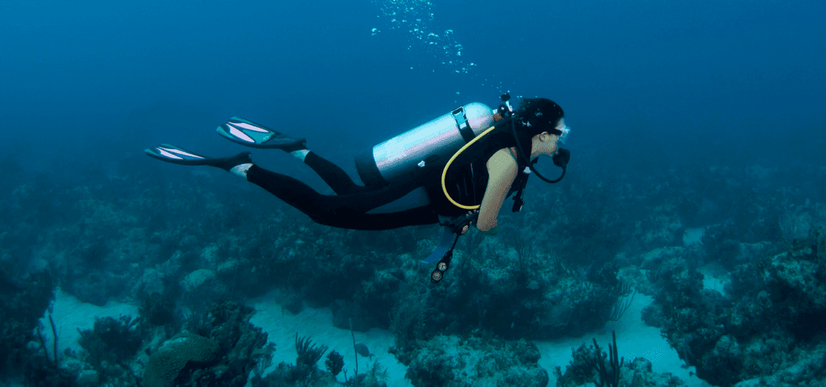 Beach Try Dive Banner - Bermuda