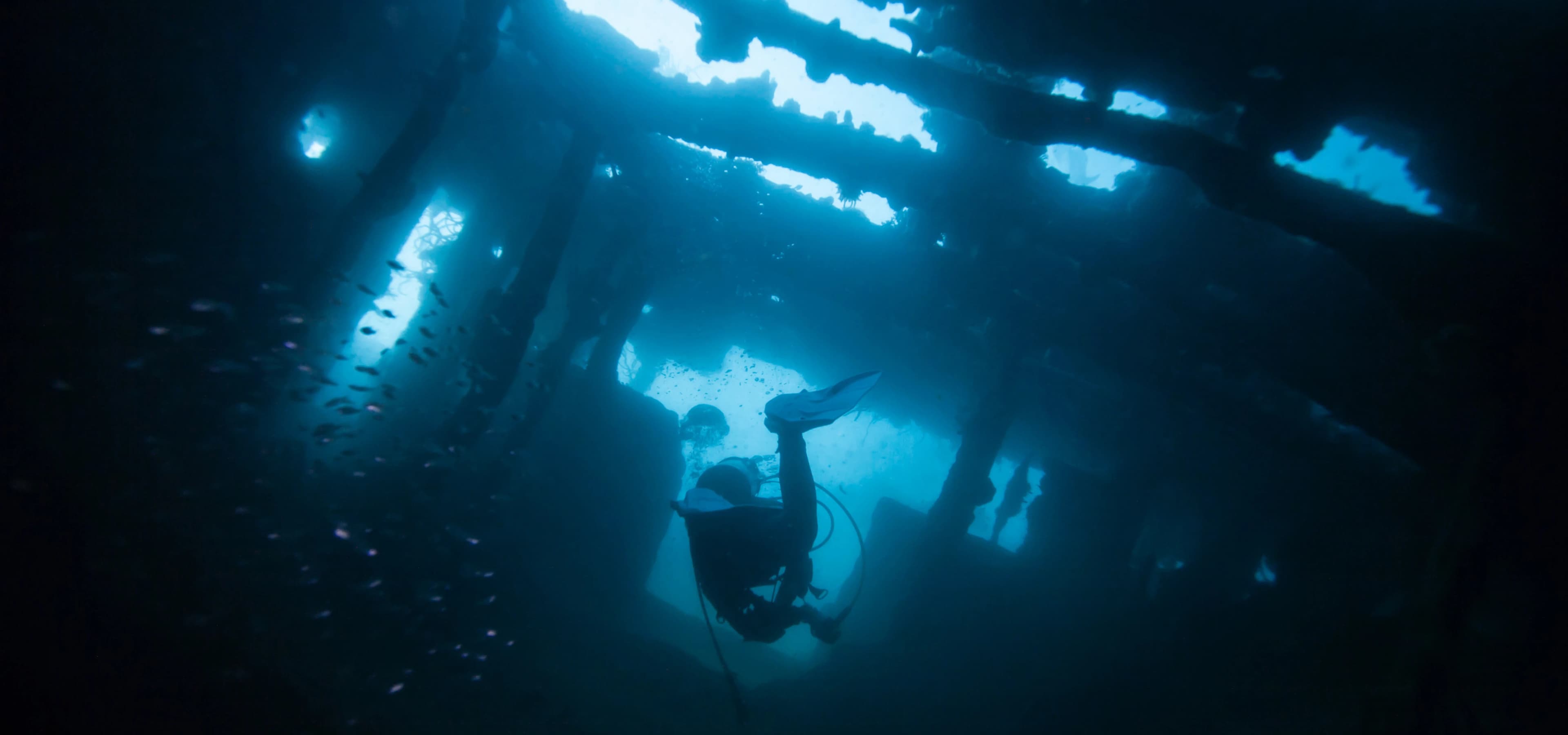 PADI Wreck Diver Speciality Banner - Bermuda