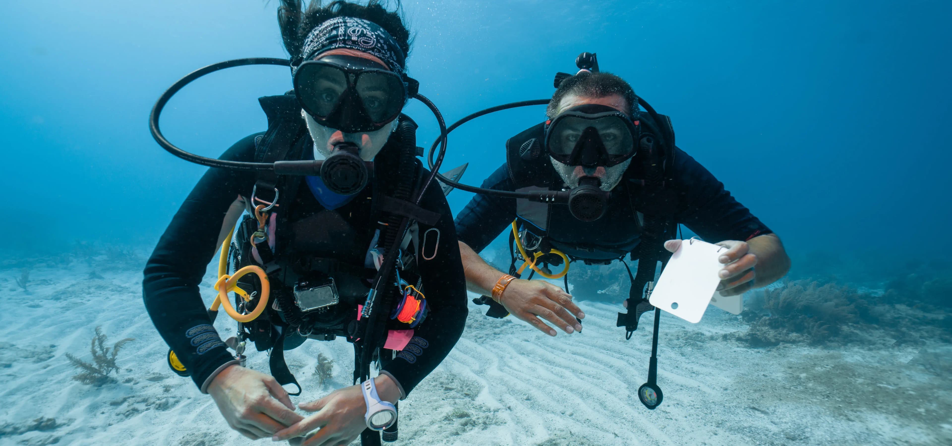 PADI Open Water Course Banner - Bermuda
