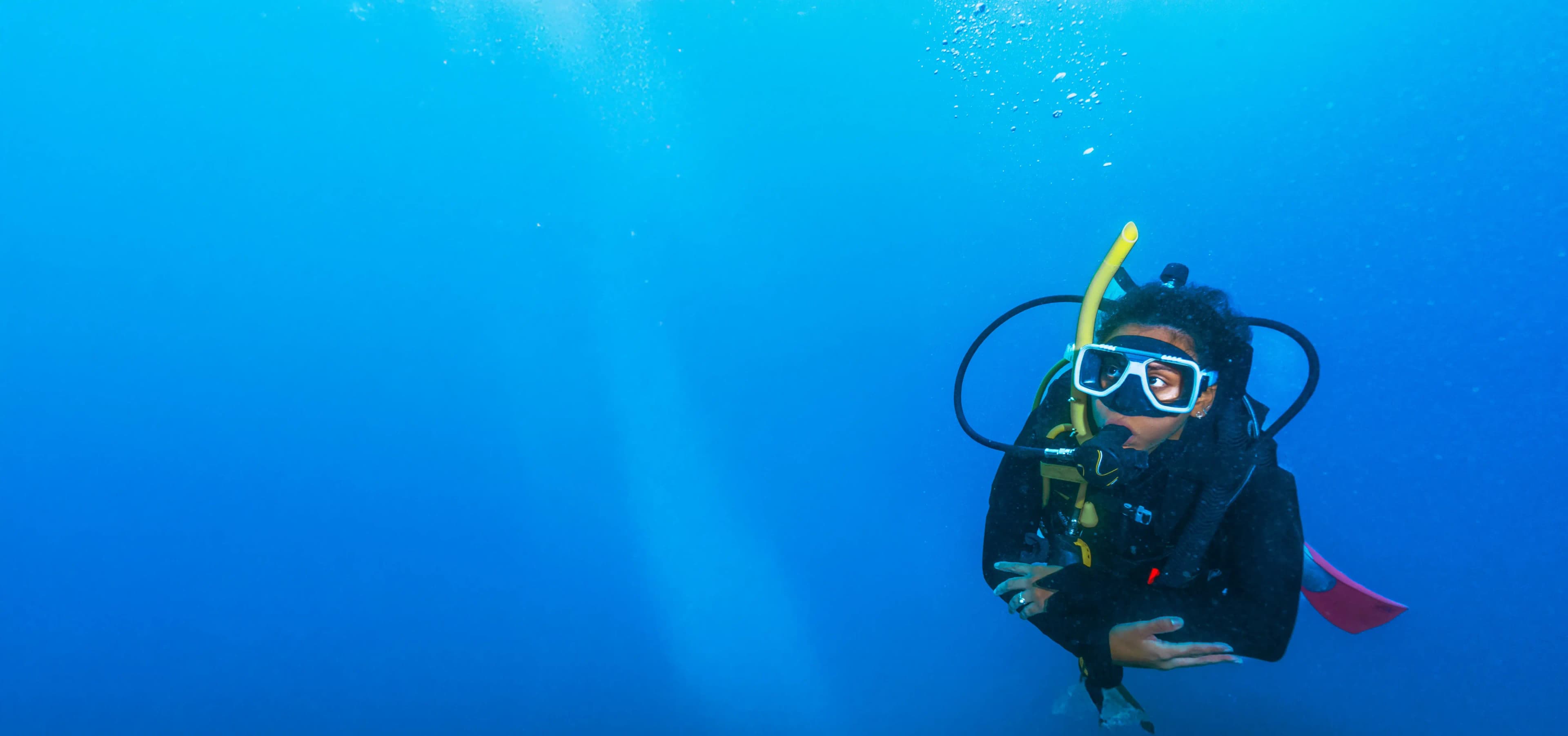 Beach Try Dive Banner - Bermuda