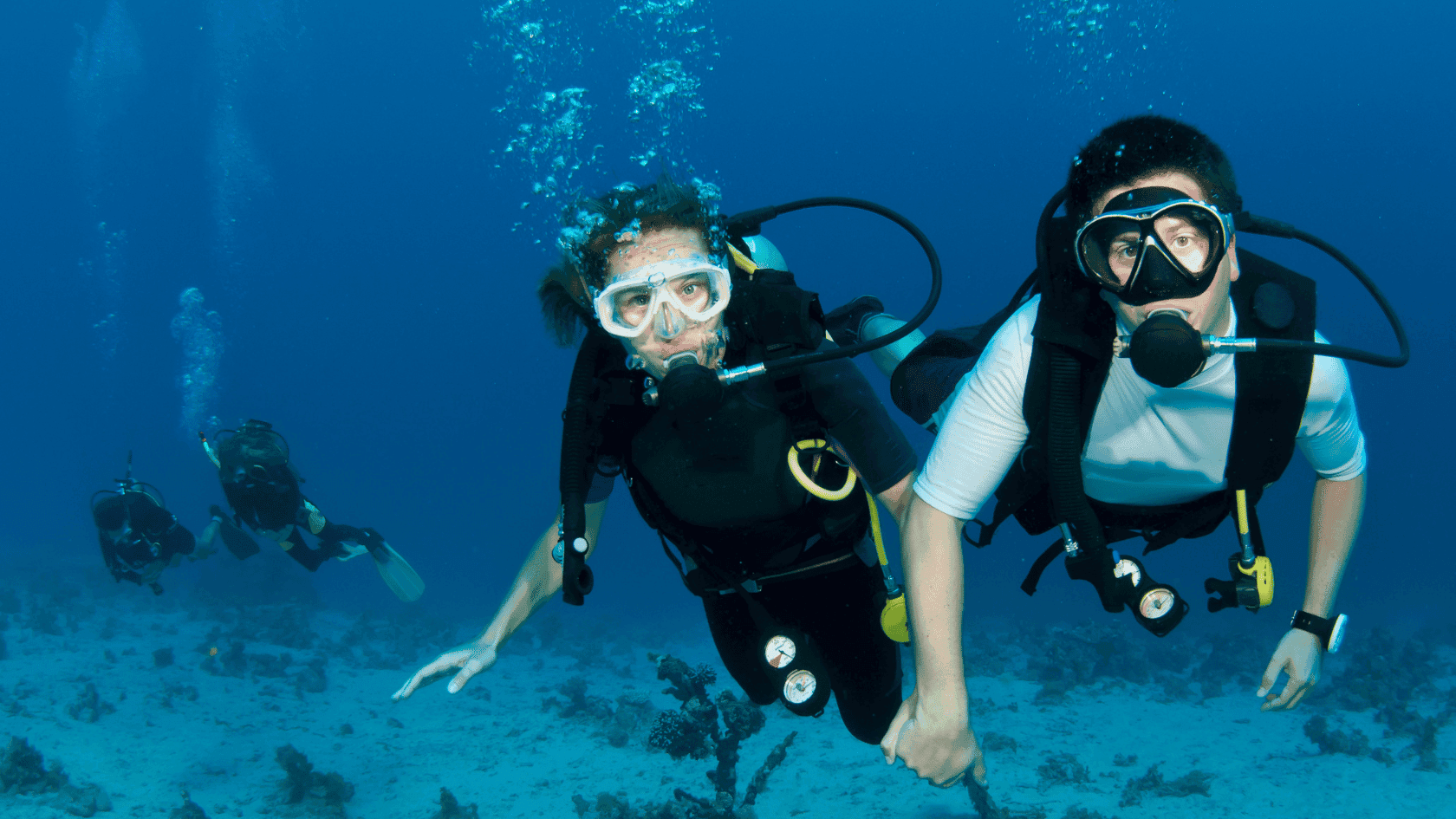 Try Dive + Dhow Cruise Ticket Banner - Bermuda